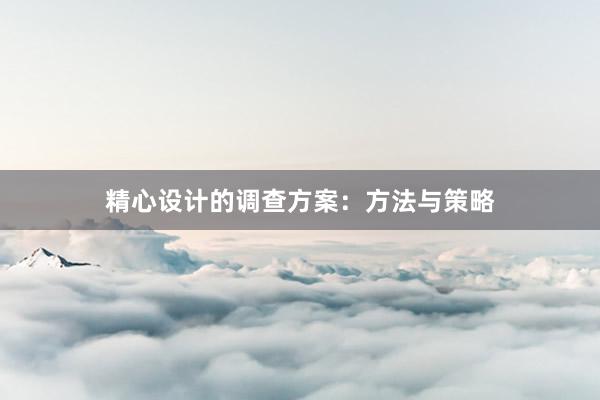 精心设计的调查方案：方法与策略